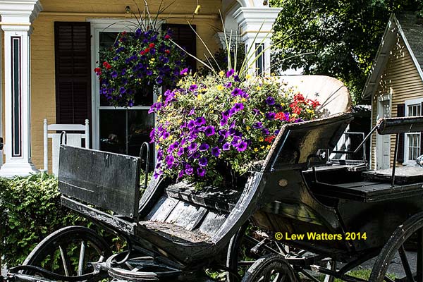 Thanks to a group of hard-working and thoughtful citizens, our town of Chester has enjoyed beautiful flower arrangements throughout our village.