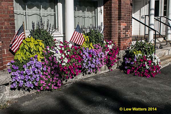 Thanks to a group of hard-working and thoughtful citizens, our town of Chester has enjoyed beautiful flower arrangements throughout our village.