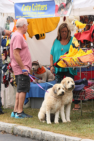 The Chester Fall Festival has been designated one of Vermont's "Top 10 Fall Events" for 2017 by the Vermont Chamber of Commerce!